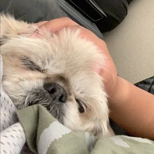 Meet your Posher, Joelle